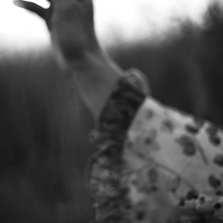 Ερωτική εξομολόγηση που άργησε μια μέρα