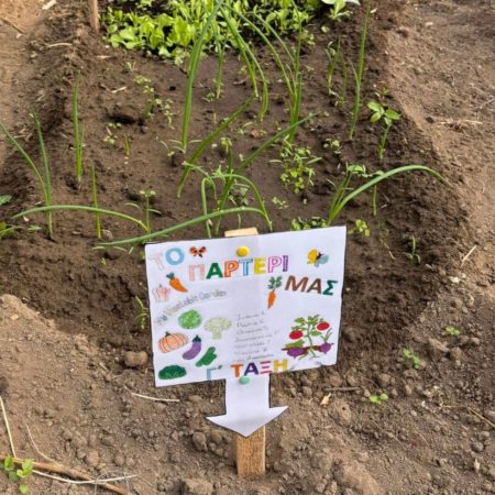 Έβρος: Μαθητές καλλιεργούν τα δικά τους λαχανικά σε σούπερ θερμοκήπιο