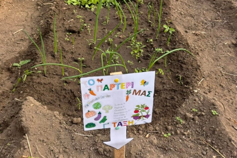 Έβρος: Μαθητές καλλιεργούν τα δικά τους λαχανικά σε σούπερ θερμοκήπιο