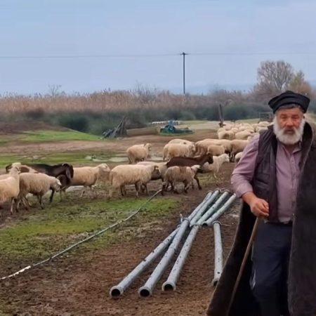 Με εγκεφαλικό ο κτηνοτρόφος που αποχαιρέτησε με λυγμούς 450 πρόβατα