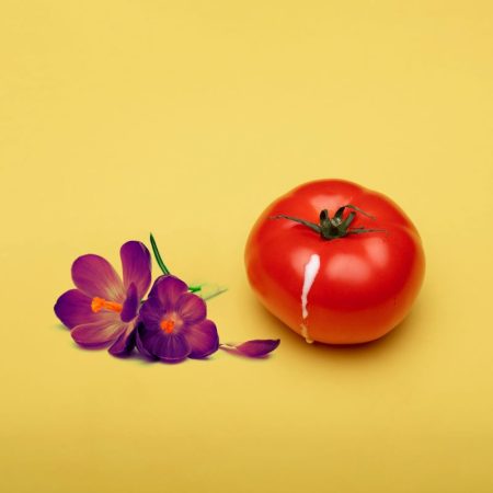 Ο κόλπος είναι το ίδιο όξινος με μια ώριμη ντομάτα κι αυτό είναι σούπερ καλό