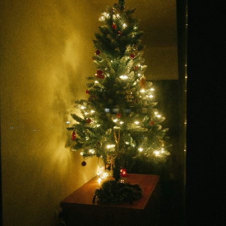 Για εσένα που στόλισες μόνος φέτος