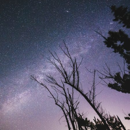 Αν ανήκεις σε αυτά τα 3 ζώδια, ο Δεκέμβριος θα σε δικαιώσει για όσα πέρασες