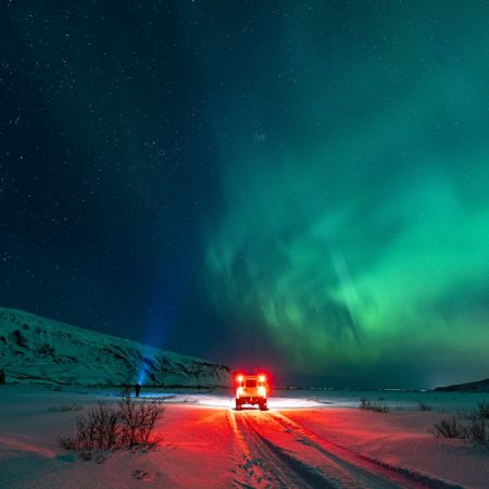 Δεν είναι όλοι για θάλασσες - Κάποιοι ανθίζουν στον βορρά