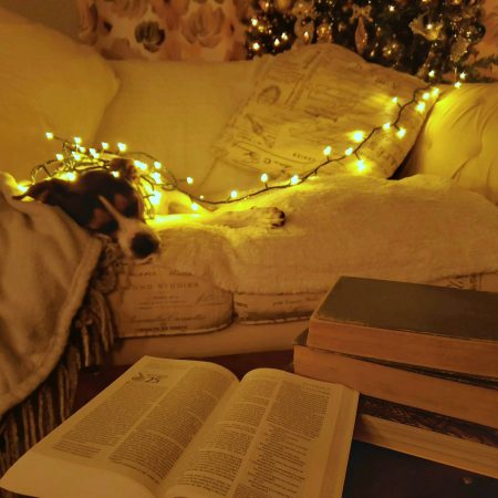 6 βιβλία για να νιώσεις τη μαγεία των Χριστουγέννων από την πρώτη σελίδα