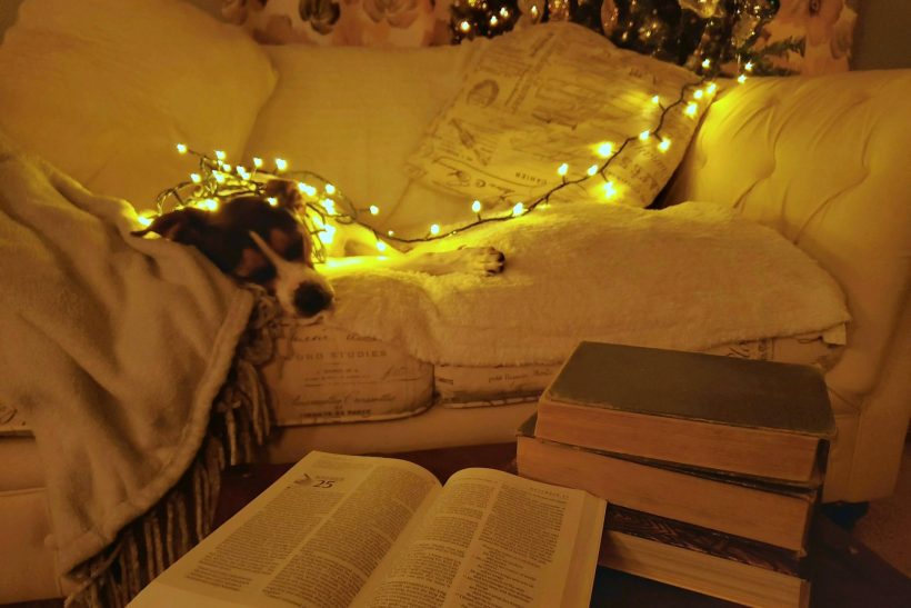 6 βιβλία για να νιώσεις τη μαγεία των Χριστουγέννων από την πρώτη σελίδα
