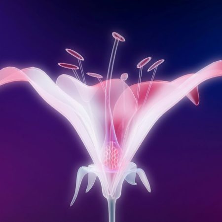 Βρέθηκε φάρμακο που μπορεί να επιβραδύνει την εμμηνόπαυση