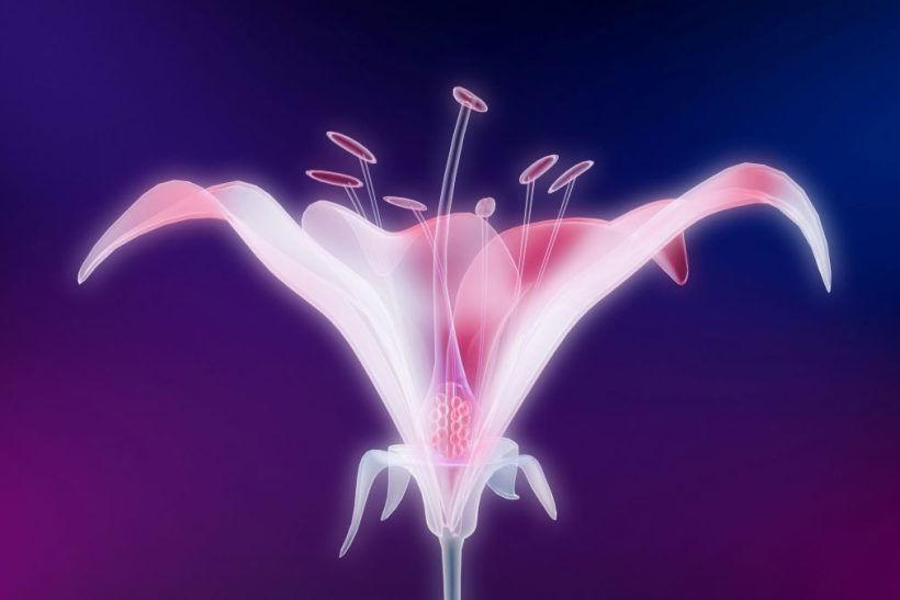 Βρέθηκε φάρμακο που μπορεί να επιβραδύνει την εμμηνόπαυση