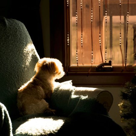 Η ηρεμία του να μην περιμένεις τίποτα