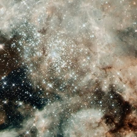 Εβδομαδιαίες προβλέψεις από 19/1 έως 25/1