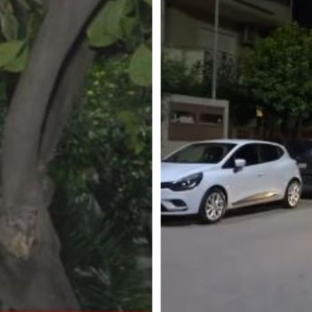 Ελευσίνα: 44χρονη σkότωσε τη μητέρα της προσπαθώντας να παρκάρει