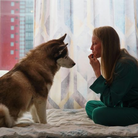 Τα σκυλιά μας “μυρίζουν” το άγχος μας και κάνουν κάτι συγκλονιστικό