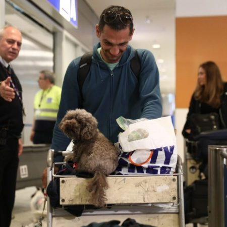 «Επιχείρηση Κιβωτός»: 90 Έλληνες και 100 ζωάκια επέστρεψαν και το αεροδρόμιο γέμισε χαρά