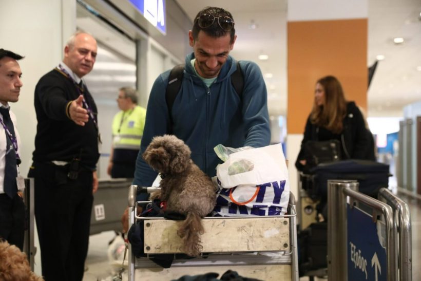 «Επιχείρηση Κιβωτός»: 90 Έλληνες και 100 ζωάκια επέστρεψαν και το αεροδρόμιο γέμισε χαρά