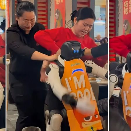 Ρομπότ-βοηθός σε εστιατόριο έπαθε αμόκ και κοπανούσε τα πιάτα πελατών