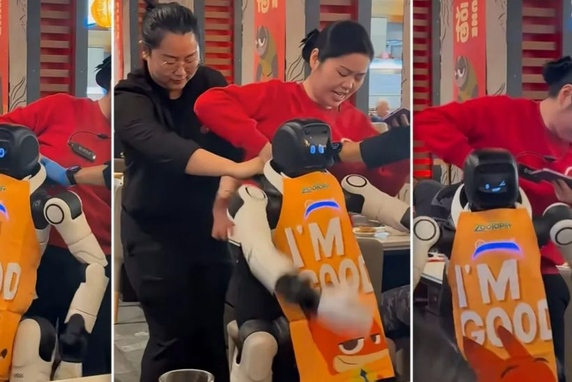 Ρομπότ-βοηθός σε εστιατόριο έπαθε αμόκ και κοπανούσε τα πιάτα πελατών