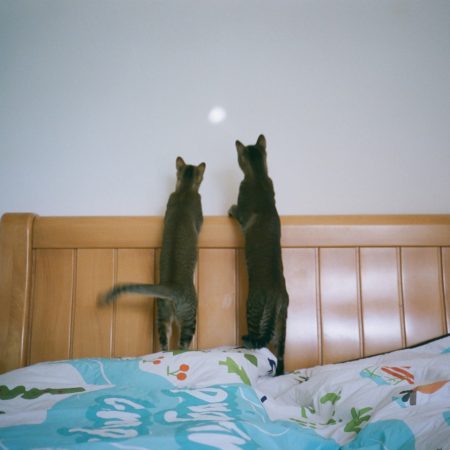 Έτσι θα ξέρεις πως έχεις πια έναν φίλο