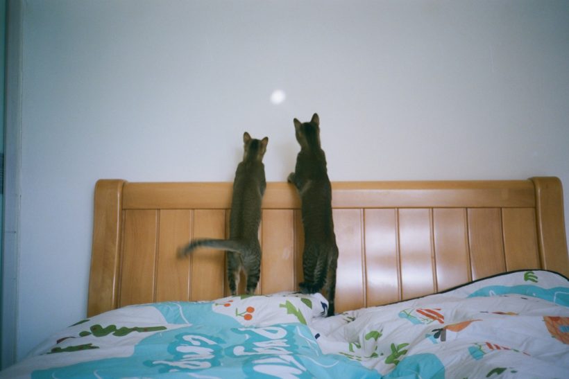 Έτσι θα ξέρεις πως έχεις πια έναν φίλο