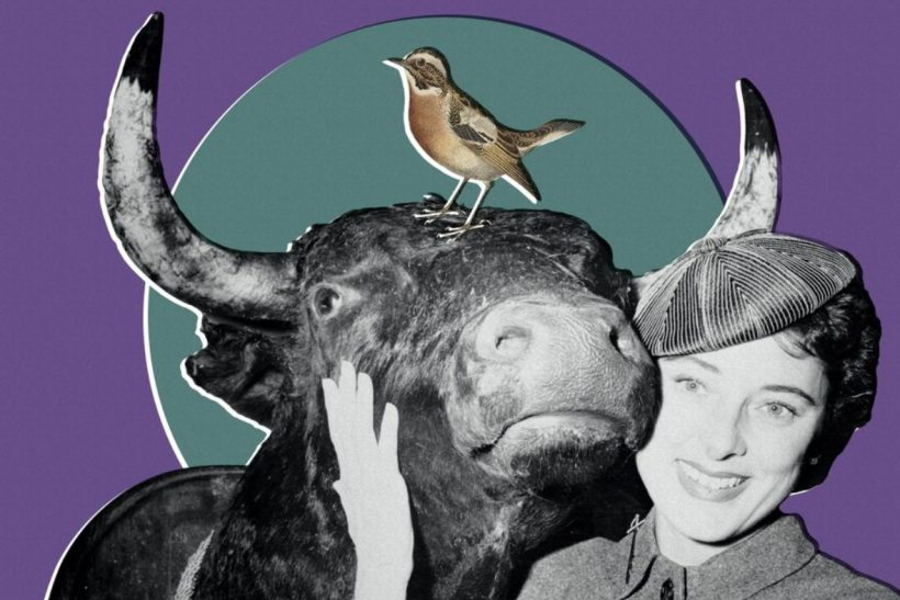 Μπαίνουμε στην εποχή του Ταύρου κι αυτά τα ζώδια επηρεάζονται περισσότερο