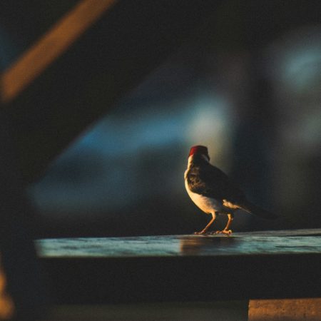 Όταν γίνεις μάνα θα καταλάβεις
