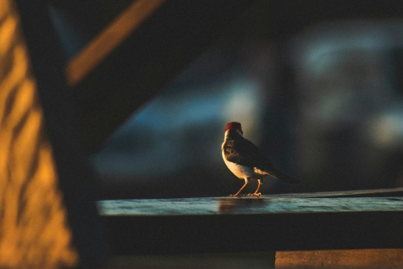 Όταν γίνεις μάνα θα καταλάβεις
