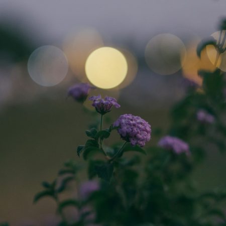 Από την άνοιξη που δε θέλησες να ξεφύγεις