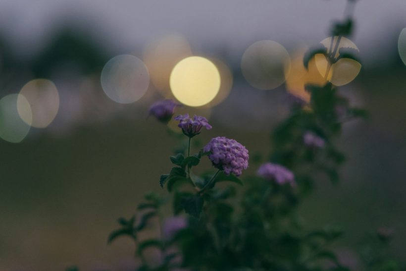 Από την άνοιξη που δε θέλησες να ξεφύγεις