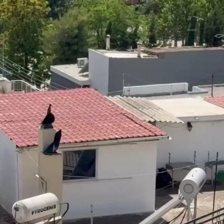 Έξι παιδιά ζούσαν μέσα σε σκουπίδια και ακαθαρσίες σε δώμα στο Περιστέρι
