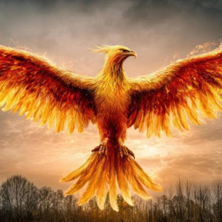 Όταν αποφασίσεις ότι αξίζεις περισσότερα διάβασε τον μύθο του Φοίνικα
