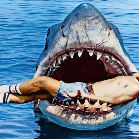 Πιο πιθανό να παντρευτείς γόνο εφοπλιστή στη Μύκονο παρά να σε φάει καρχαρίας