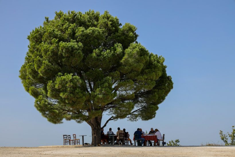 Η Κρήτη είναι το μόνο μέρος στην Ελλάδα που γεννήθηκαν πιο πολλά μωρά το 2026