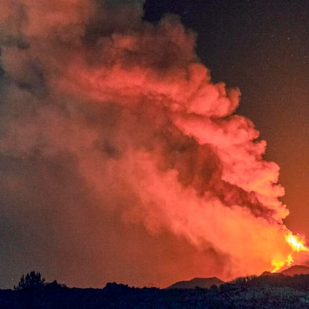 Ιταλία: Έδεσαν εύφλεκτα κουρέλια σε γάτες και τις άφησαν να εξαπλώσουν τη φωτιά