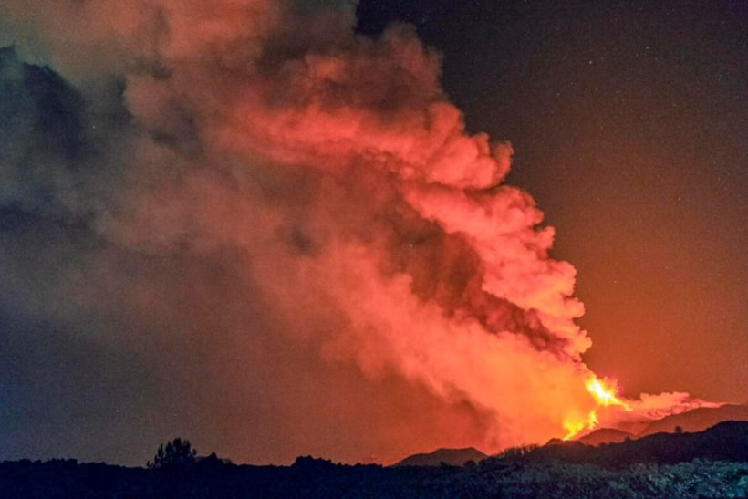 Ιταλία: Έδεσαν εύφλεκτα κουρέλια σε γάτες και τις άφησαν να εξαπλώσουν τη φωτιά