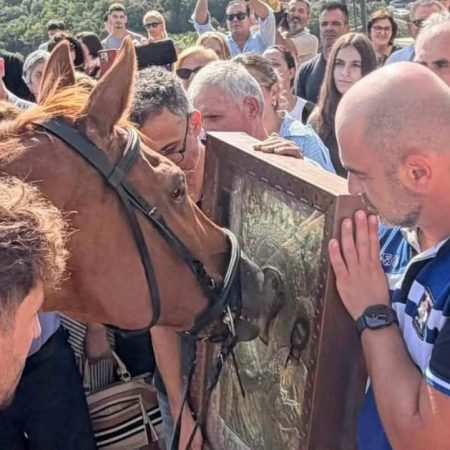 Πόσο πολύ έχουμε ανάγκη να πιστέψουμε ότι 2 άλογα «προσκύνησαν» την εικόνα της Παναγίας;
