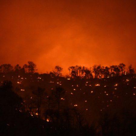 Ν. Αττικής: Σε 9 χρόνια 480.000 στρέμματα στάχτη