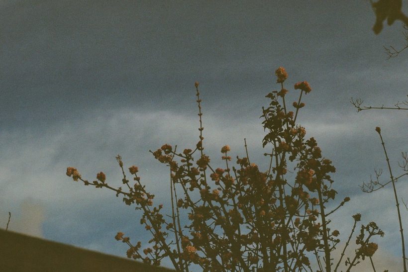 Το «σ’ αγαπώ» έχει περισσότερες συλλαβές όταν φοβάσαι